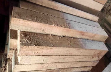 “High-quality Sal wood (Shorea robusta) cut-size timber front view for export use”