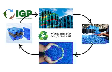 Quy trình tái chế pallet nhựa