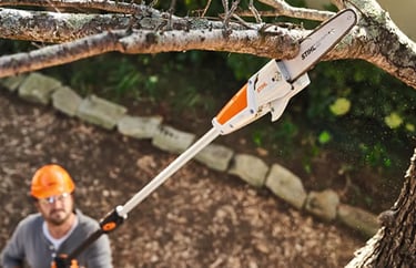 Jardinier Élagage à Albi dans le Tarn 81