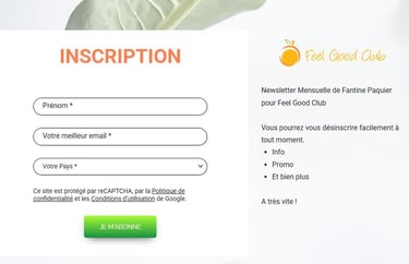 Le Formulaire d'inscription pour la newsletter Feel Good Club