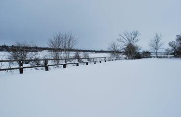 Gîte de la Cour d'Etienville dans les marais du Cotentin