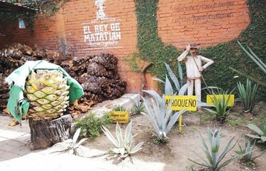 Taxi a la mezcalería