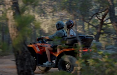 Ballade dans une foret en Quad ATV