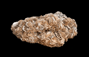 Muscovite