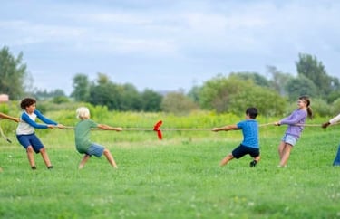 Tug of War