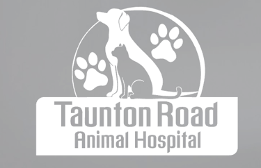 Link to Taunton Road Animal Hospital 