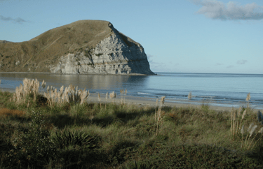Mahia Beach in the morning, looking towards Mokotahi cliffs.