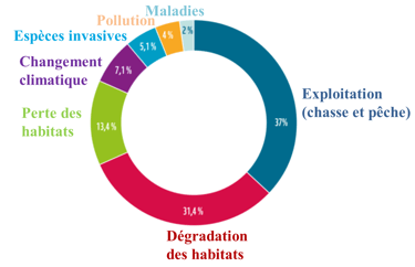 Graphique de la contribution de différentes causes à l'effondrement des populations animales
