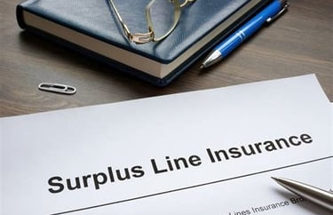 Surplus Insurance Business Commercial