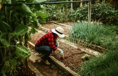 woman digging in garden