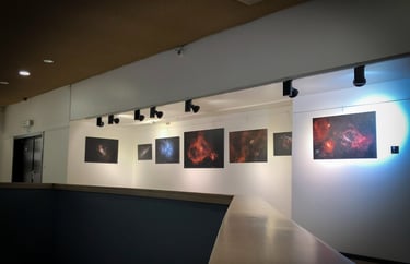 Exposition