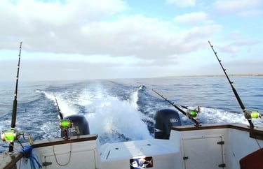 Pesca esportiva na ilha do Maio Cabo Verde com Big Game Maio