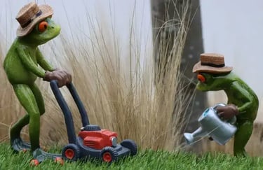 Entretien du jardin