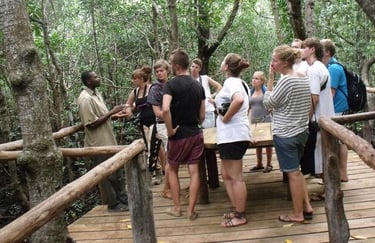 Group of tourists listening to a local tour guide explaining wildlife and nature in Jozani Forest Zanzibar