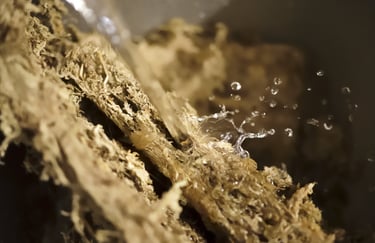 Water being poured onto sphagnum moss
