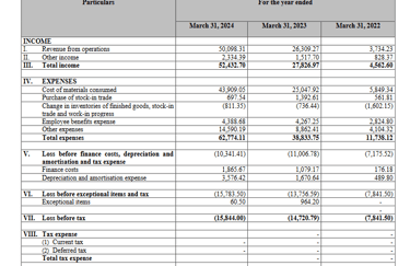 income statement_ola electric business analysis