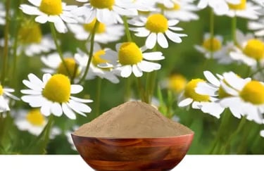 Ozem Patches Ingredient Chamomile Flower Extract