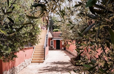 Viale alberato di accesso agli alloggi immerso nel verde