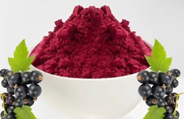 Nuvia Fat Burner Ingredient Blackcurrant Extract