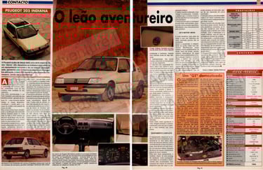 article Peugeot 205 indiana portugal portugais 205 xs 205 t16 grand raid
