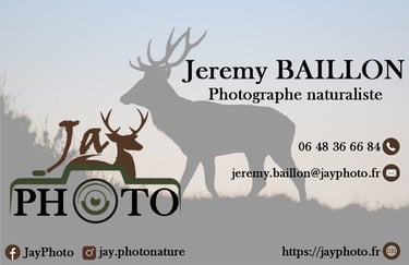 Carte de visite