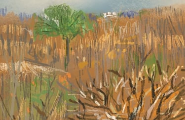 Hotel view at Victoria Falls - digital postcard