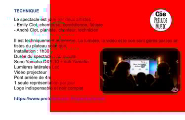 spectacle de Noël