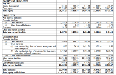 liabilities_Tata Technologies IPO Analysis_the moat investor
