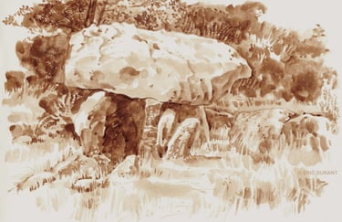 Lavis de brou de noix  sur papier A4 - © Eric Durant
