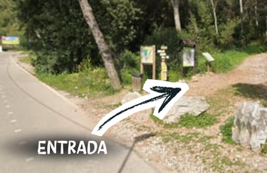 Ubicación entrada principal calle Albinoni