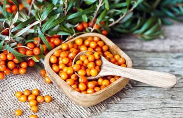 Nuvia Fat Burner Ingredient Sea Buckthorn Berry