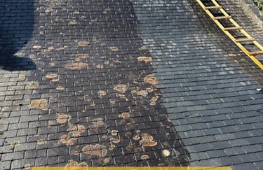 Before and after comparison of slate roof cleaning with moss removal and Dalep water repellent treatment.