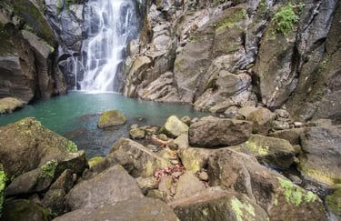 A scenic tropical waterfall cascading into a turquoise pool surrounded by mossy rocks and a dark stone cliff.