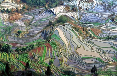 Photo of Honghe Hani Rice Terraces in China