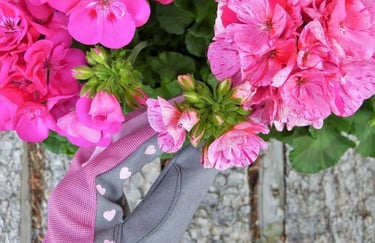 Entretien des fleurs
