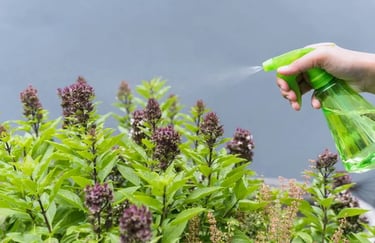 Pesticides naturels