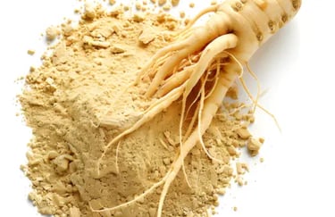 Novislim Ingredient Ginseng-Wurzelextrakt