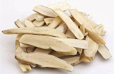 Weiße-Pfingstrosenwurzel