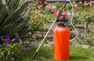 Professional lawn spraying service in Fuquay applying fertilizer and weed control treatment to lawn