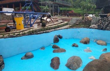 pelapisan cat water proofing untuk kolam renang yang mengalami kebocoran