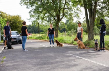 RIKA Hundeschule beim Gruppentraining