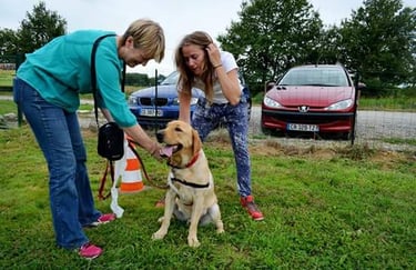 comportementaliste canin 31 - education canine gers - occicani