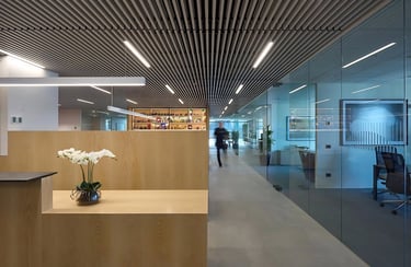 wpc Baffle Ceiling