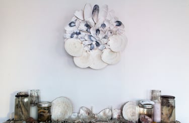 a seashell mandala above a shelf with more seashells