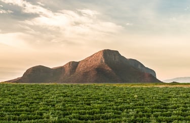 Nutrilite organic farm in Jalisco, Mexico