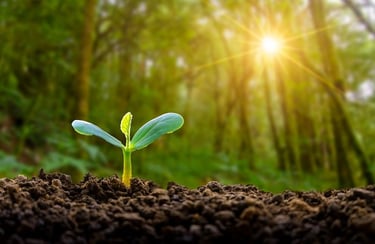 5 Signs You're Being Energized by God