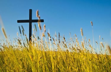 cross on the field