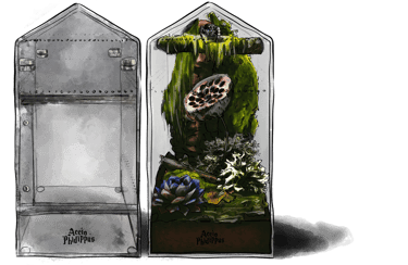 terrarium pour araignée - terrarium pour phidippus regius - petit terrarium