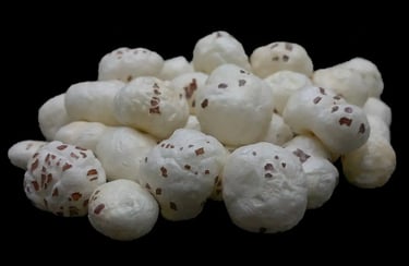 Makaha - Fox nuts - WEARE OCEAN EXPORT