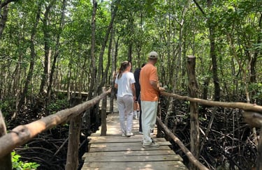 Group of tourists observing red colobus and Sykes monkeys in Jozani Forest Zanzibar